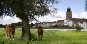 Deventer en omgeving